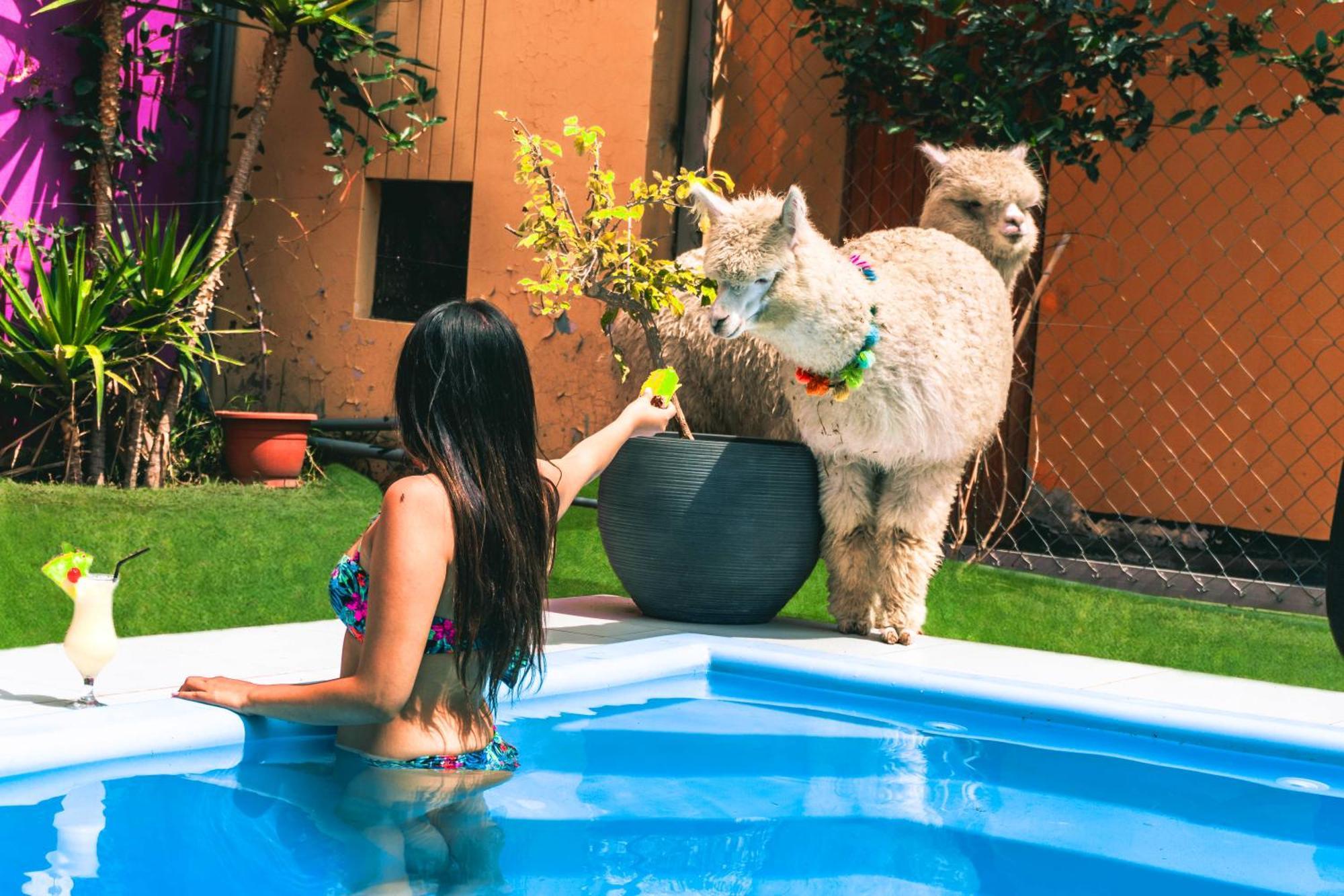 Hotels Collect Adriana Monet Arequipa Extérieur photo